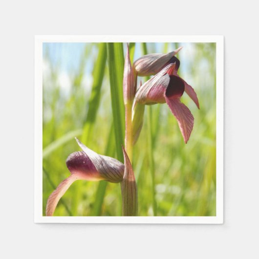 Tongue Orchid Paper Napkins Serviette (Vorderseite)