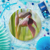 Tongue Orchid Paper Teller (Party)