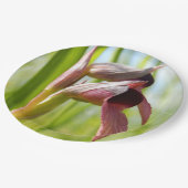 Tongue Orchid Paper Teller (Schrägansicht)