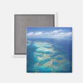 Tongue Reef, Great Barrier Reef Marine Park, Magnet (Vorderseite/Rückseite)