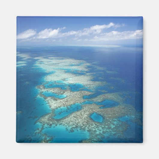 Tongue Reef, Great Barrier Reef Marine Park, Magnet (Vorne)