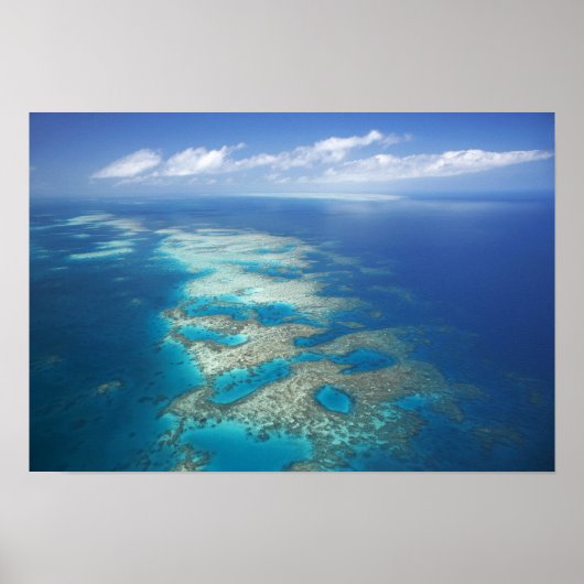 Tongue Reef, Great Barrier Reef Marine Park, Poster (Vorne)