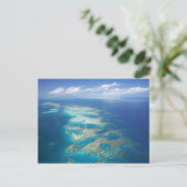 Tongue Reef, Great Barrier Reef Marine Park, Postkarte (Stehend Vorderseite)