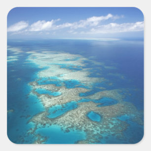 Tongue Reef, Great Barrier Reef Marine Park, Quadratischer Aufkleber