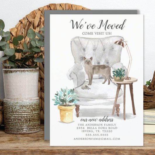 Tonkinese Cat Moving Ankündigung