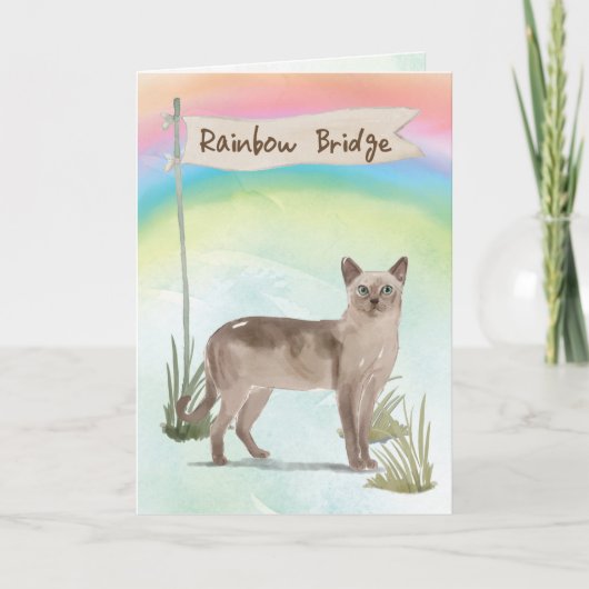 Tonkinese Cat Pet Beileid über Rainbow Bridge Karte (Vorderseite)