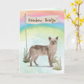 Tonkinese Cat Pet Beileid über Rainbow Bridge Karte (Gelbe Blume)
