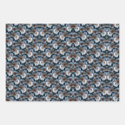 Tonkinson Daisies Galore Tissue Gift Wrap Inpakpap Geschenkpapier Set (Vorderseite)