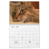 Tonsley u. Kalender Julie 2010 (Mär 2027)