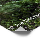 Tonti Canyon - Der Park des hungerten Rock Staat Poster (Ecke)