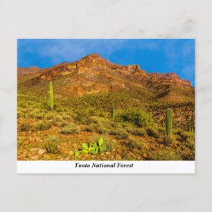 Tonto National Forest Postcard Postkarte