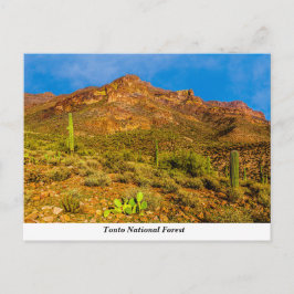 Tonto National Forest Postcard Postkarte