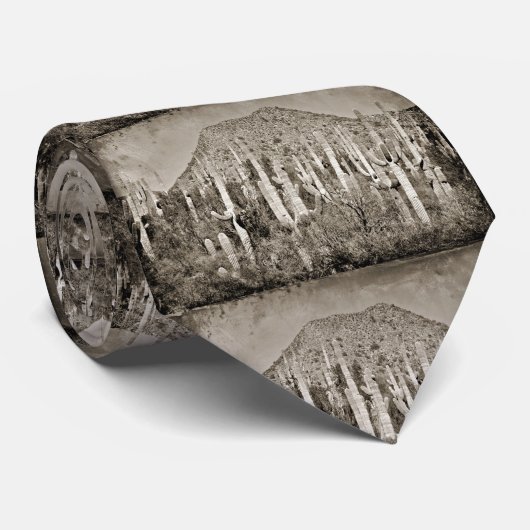 Tontos in der Vintagen Krawatte der Männer (Gerollt)