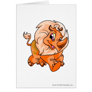 Tonu Orange
