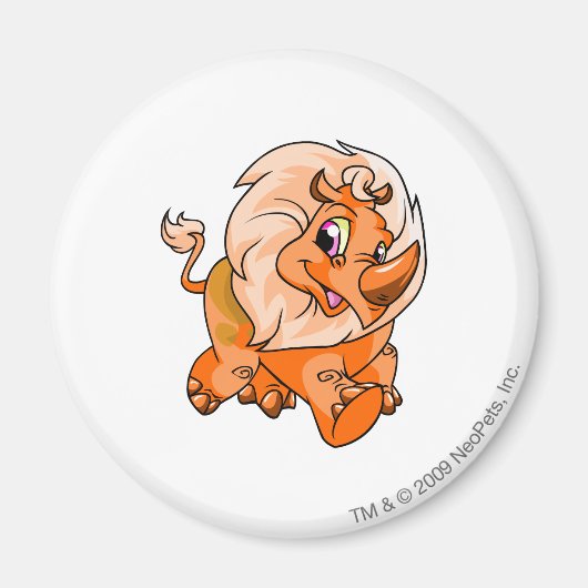 Tonu Orange Magnet (Vorne)