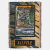 TONY DECKE (Vorderseite Vertikal)