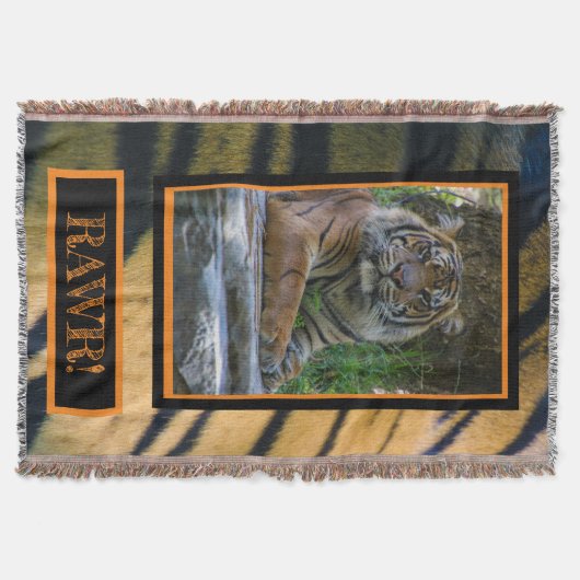 TONY DECKE (Vorderseite)