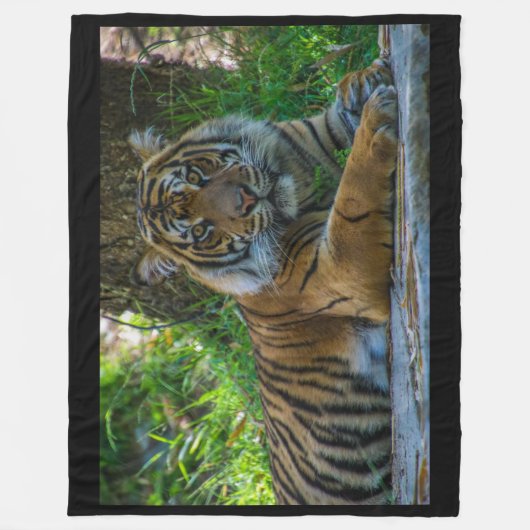 Tony Fleece Blanket (Vorderseite)