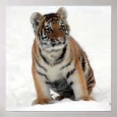 Tony Jr. Poster (Vorne)