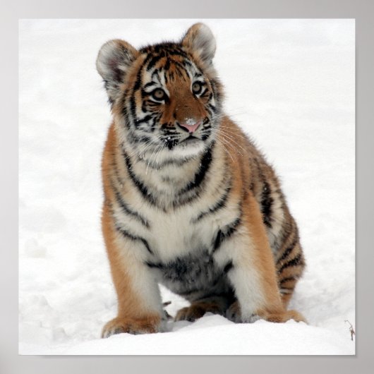 Tony Jr. Poster (Vorne)