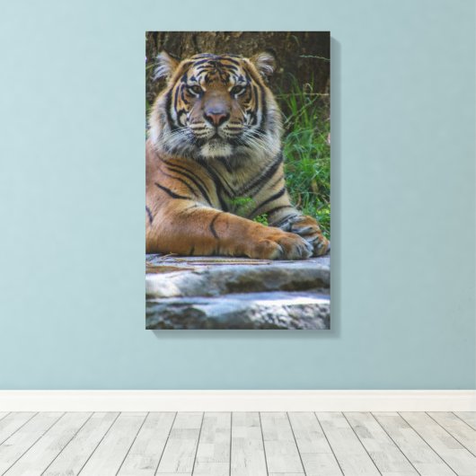 Tony Leinwanddruck (Insitu (Holzboden))