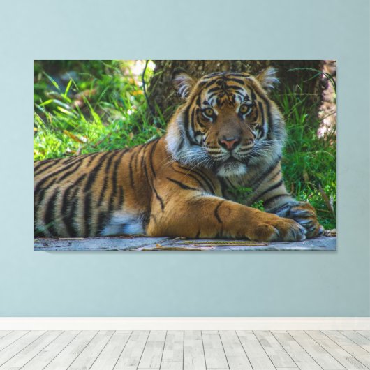 Tony Leinwanddruck (Insitu (Holzboden))