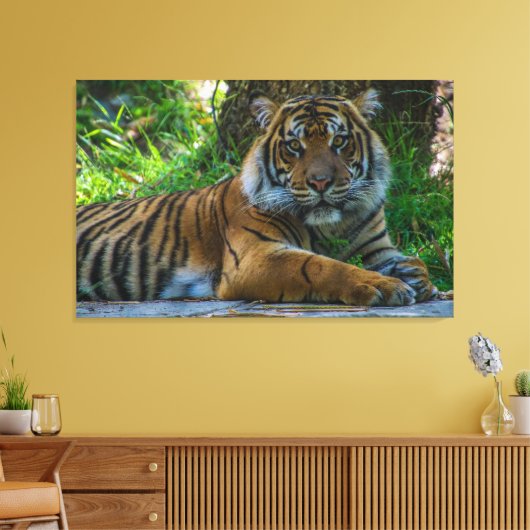 Tony Leinwanddruck (Insitu (Wohnzimmer))