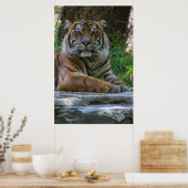 Tony Poster (Küche)