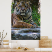 Tony Poster (Küche)