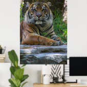 Tony Poster (Heimbüro)