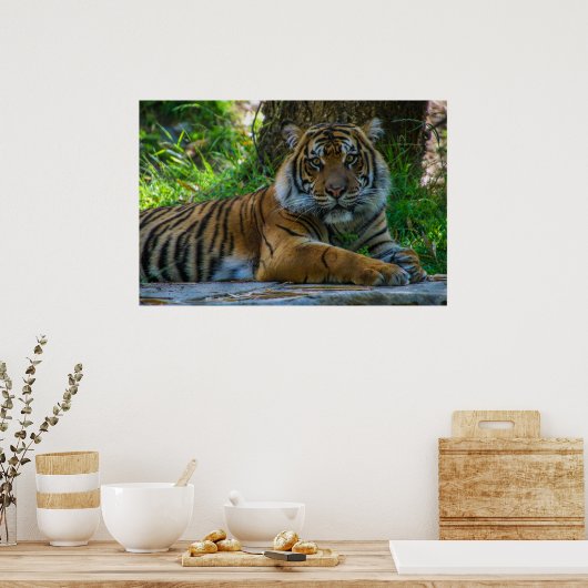 Tony Poster (Küche)