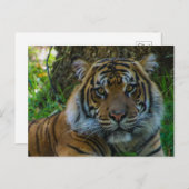 Tony Postkarte (Vorne/Hinten)