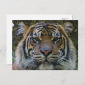 Tony Postkarte (Vorne/Hinten)