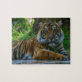 Tony Puzzle (Horizontal)