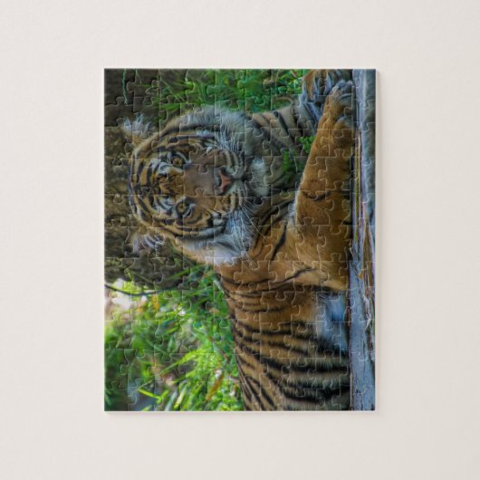 Tony Puzzle (Vertikal)