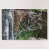 Tony Puzzle (Horizontal)