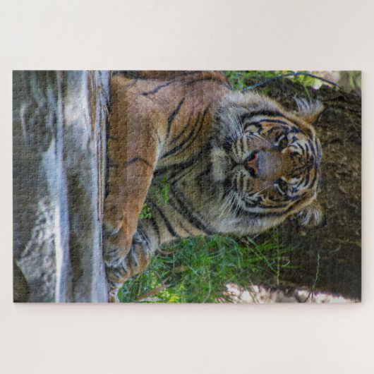 Tony Puzzle (Horizontal)