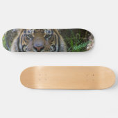 Tony Skateboard (Horizontal)