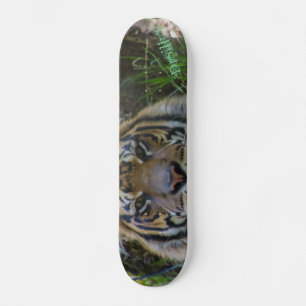 Tony Skateboard