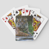 Tony Spielkarten (Rückseite)