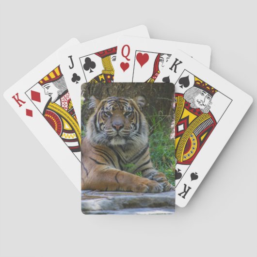 Tony Spielkarten (Rückseite)