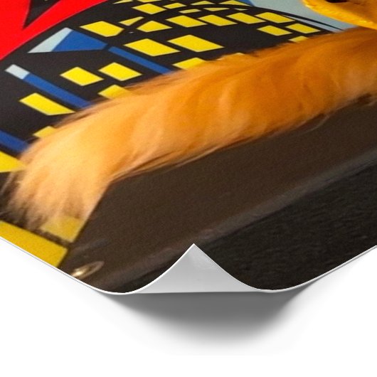 Tony und Teddy, das Dynamic Maine Coon Duo Poster (Ecke)