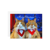 Tony und Teddy Weihnachtskarte Mitteilungskarte (Vorderseite/Rückseite Beispiel)