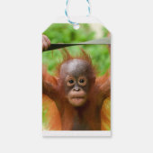 Too Cute to Handle – Little Orangutan Geschenkanhänger (Rückseite)