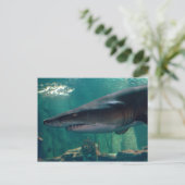 Toofy Li'l Grin Postkarte (Stehend Vorderseite)