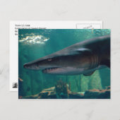 Toofy Li'l Grin Postkarte (Vorne/Hinten)