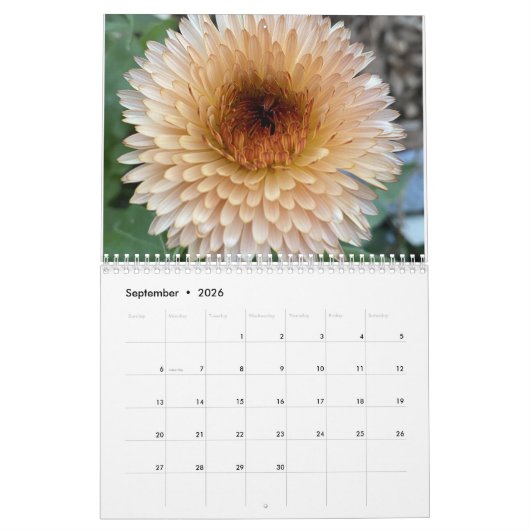 TooleyWoods 2023-Kalender Kalender (Sep 2026)