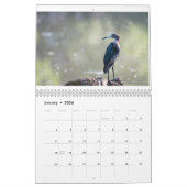 TooleyWoods 2023-Kalender Kalender (Jan 2026)
