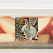 Toony Bunny Etiketten (Befestigt)