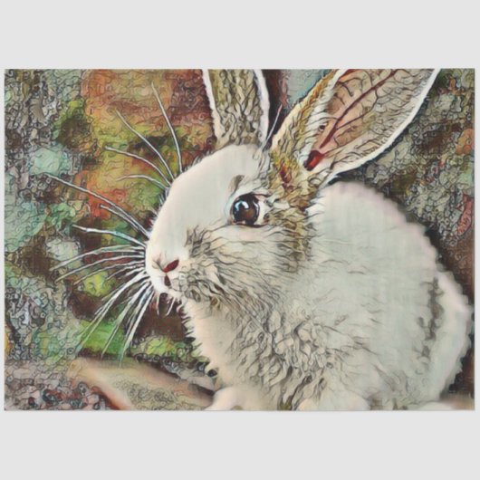 Toony Bunny Seidenpapier (Vorderseite)